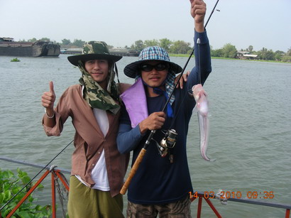 คนผักไห่และหอยขมไปเยือนเรือนแพ