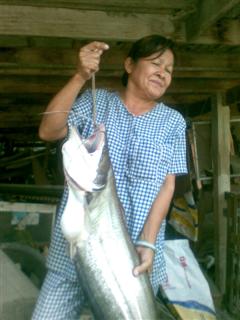 ศาลาท่าน้ำป่าสักอยุธยา
