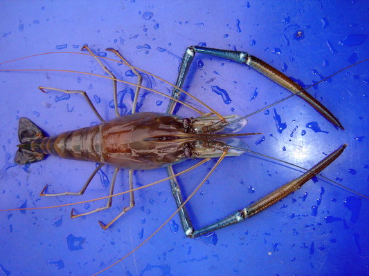 อากาศร้อน...ซ้อมมือเสียหน่อย