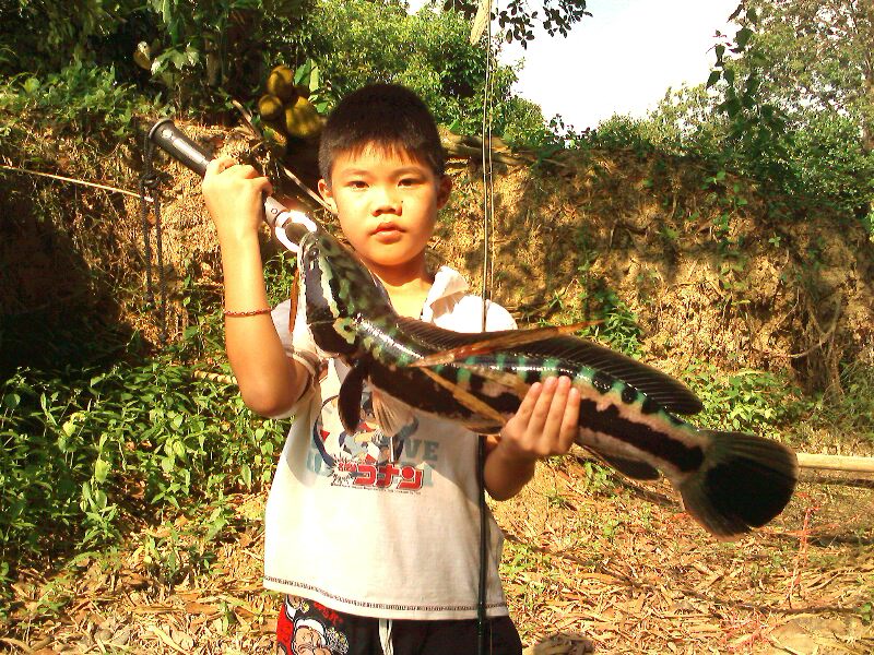 ..โดจันท์ยังมันไม่หาย..