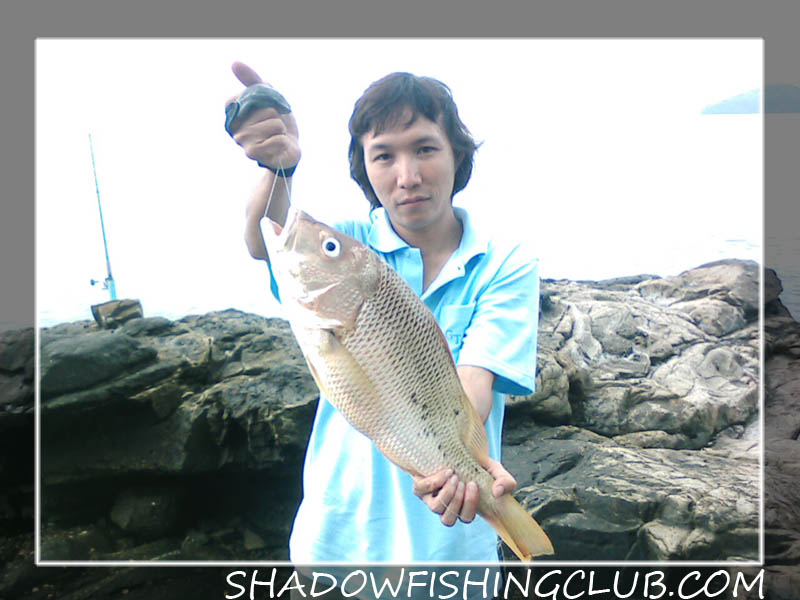 เขาขาด...ยังพอได้อยู่ by Kom Shadow