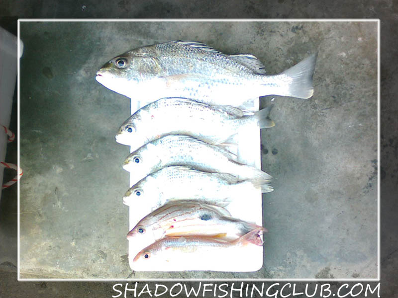 เขาขาด...ยังพอได้อยู่ by Kom Shadow