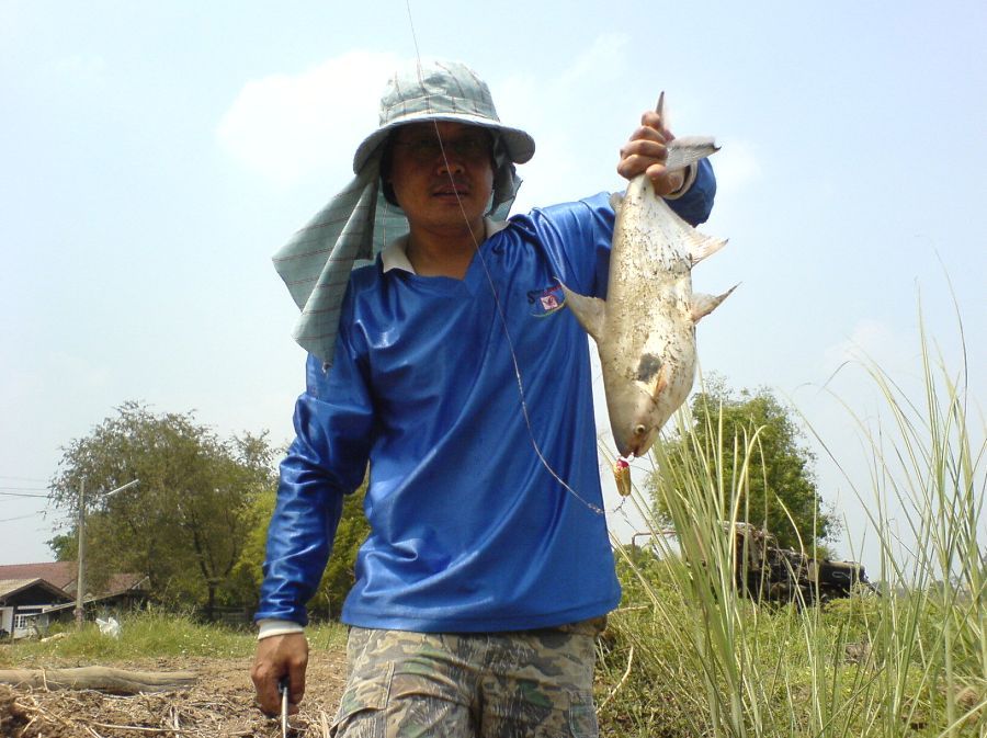 ลองตีสปูนใส่เทโพ หน่อยครับ