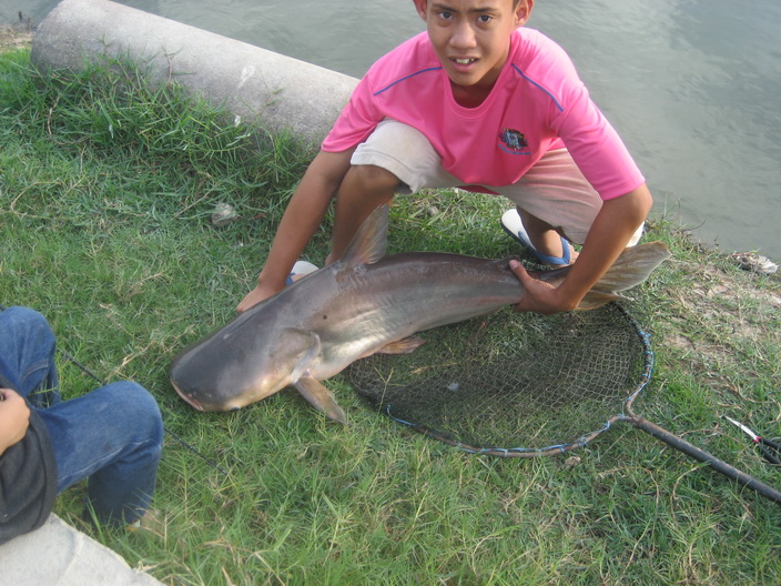 น้องใหม่ขอทดลองส่งนะครับ