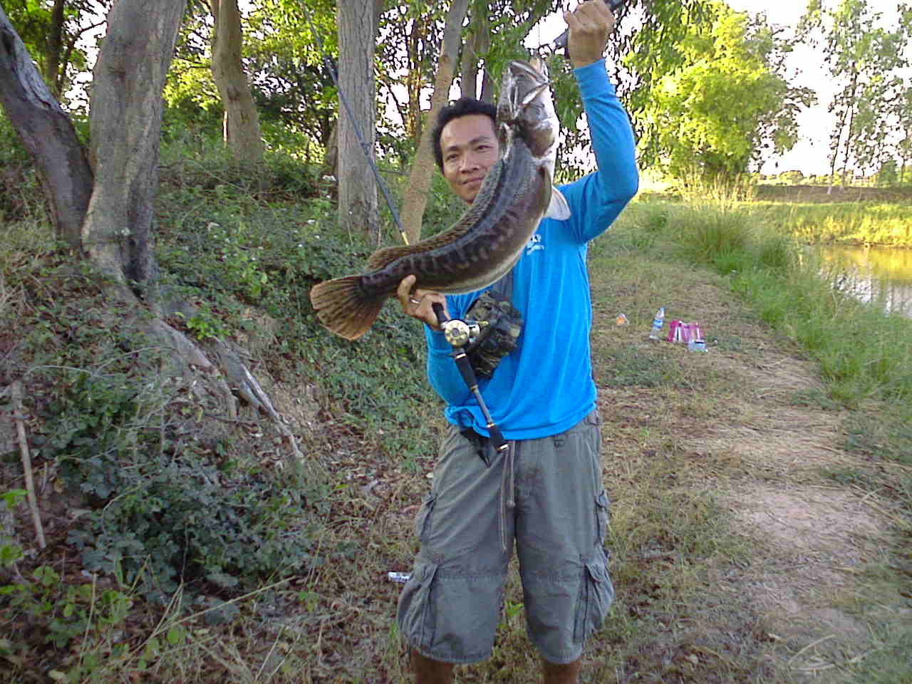 ชะโดแถวๆ จัตุรัส ค๊าบบบ รวมหลายตัวคับ