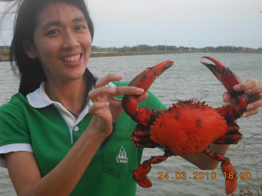====ปูแดงที่บ่อลุงดำ===