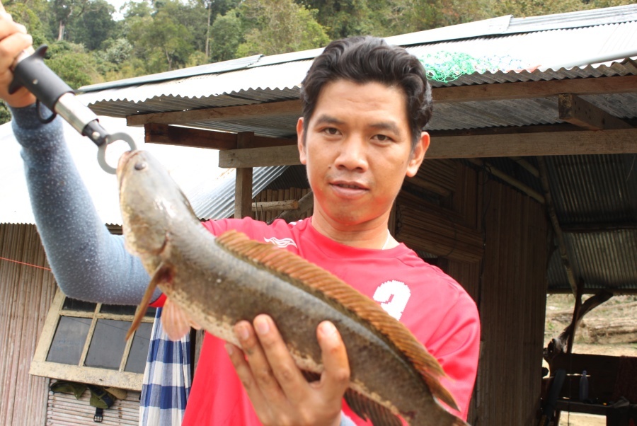 ไปตีจิบปลากดที่เชี่ยวหลาน(2)