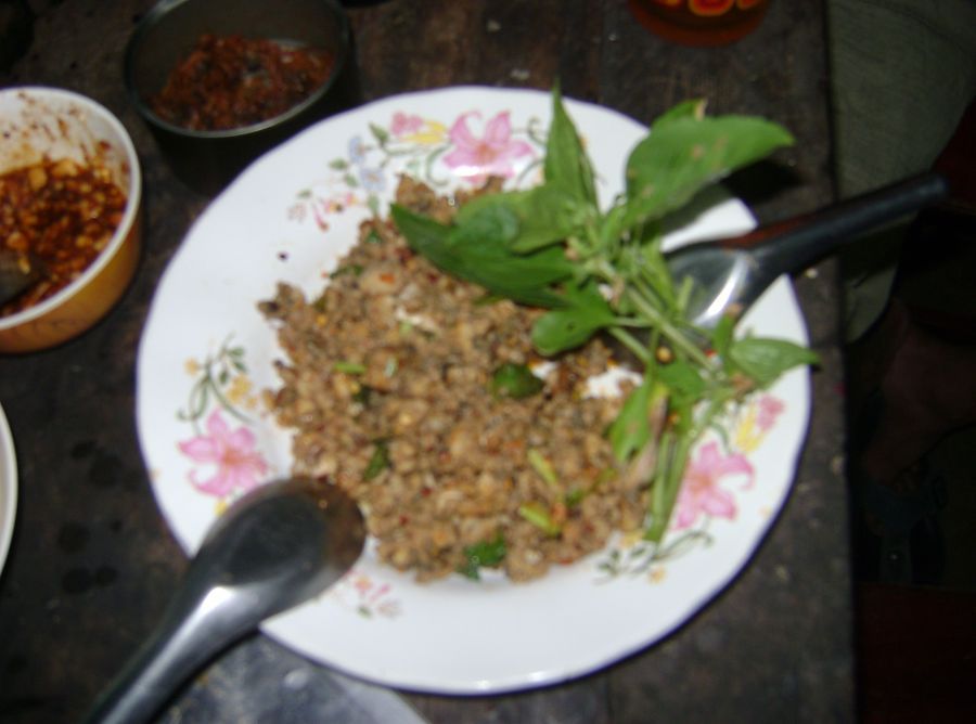 หลบร้อนที่บางไทร