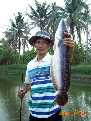 อะไรอยู่ในท้อง......