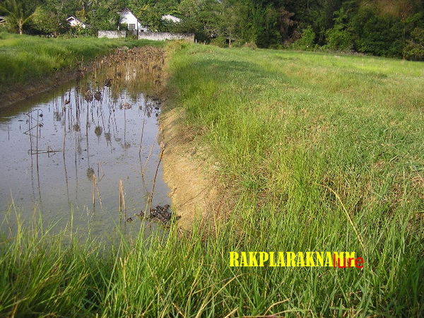 ภาพหลุดจากมือถือ (น้านาทตากใบ)