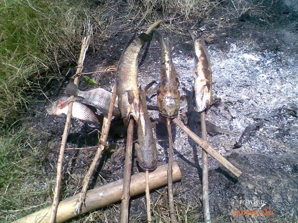 ภาพหลุดจากมือถือ (น้านาทตากใบ)