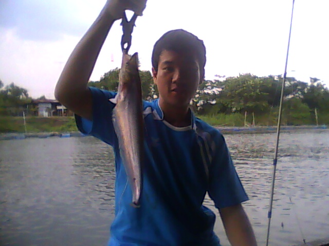 ปลาแดงหน้าบ้านครับ(เมื่อเย็นนี้เอง^^)