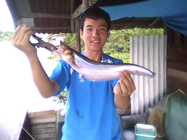 ปลาแดงหน้าบ้านครับ(เมื่อเย็นนี้เอง^^)