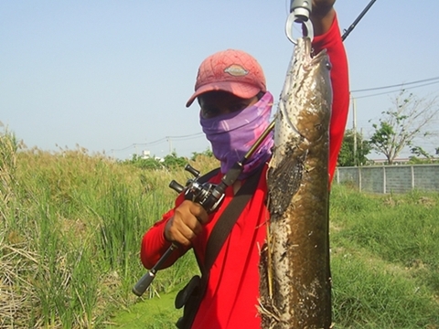 ตกปลาข้างทาง ริมถนนบางบัวทอง-สุพรรณ