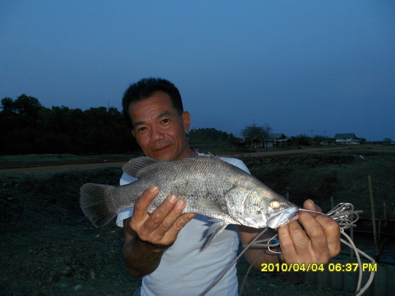 บ่อตกปลาน้องพลอย บางขุนเทียนชายทะเล