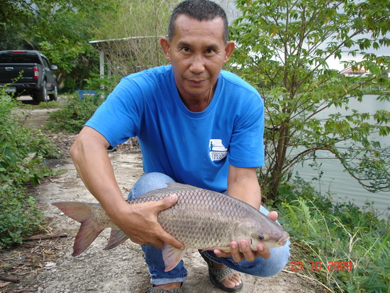 ฤดูล่าฉลามน้ำจืด..บ่อ เจ๊เอ็ง สามโคก !!   : )