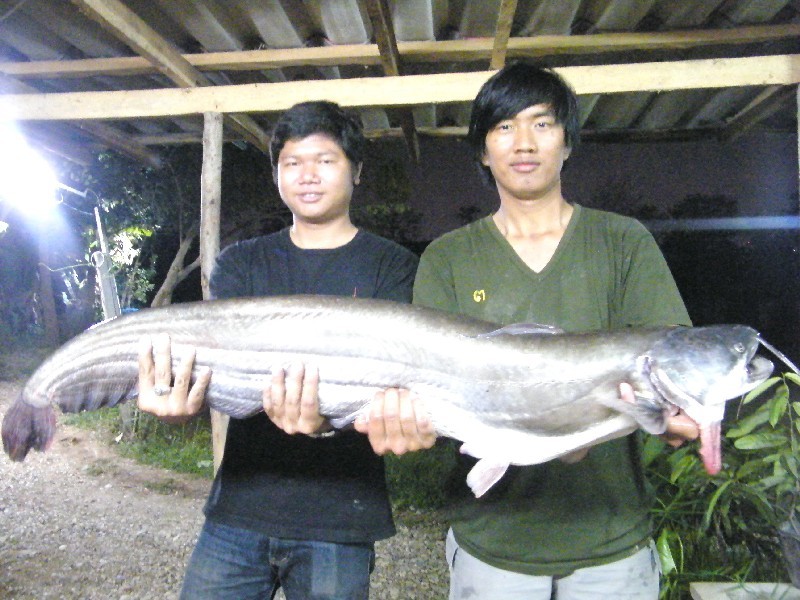 รูปภาพเก่าๆที่แสนประทับใจและยังไม่เคยลืม 