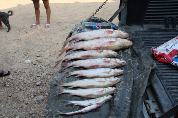 เรือนแพ ฟิชชิ่ง 12/04/10