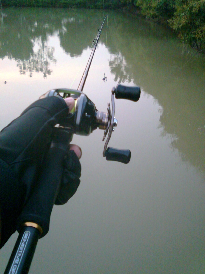 ***** ปลาช่อน #2 *****