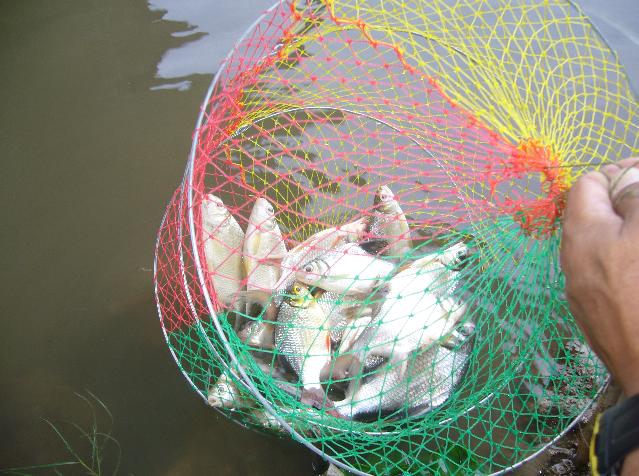 คลองสิบสาม 