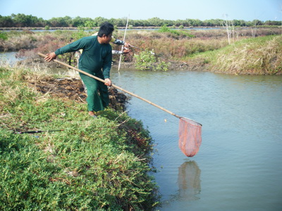 ตกเห็ดโค่น+กระพงกัน