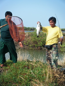 ตกเห็ดโค่น+กระพงกัน