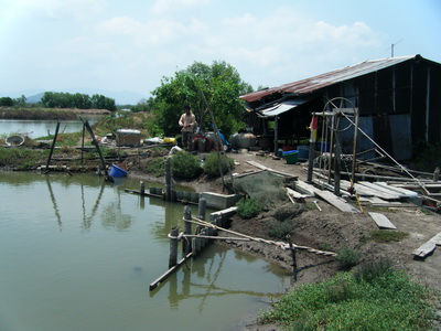 ตกเห็ดโค่น+กระพงกัน
