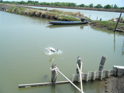 ตกเห็ดโค่น+กระพงกัน