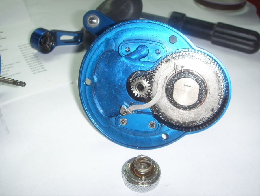 Avet MXL 6/4 2speed