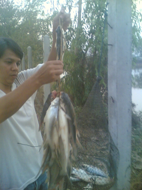 ตะโกกคอนหวัน