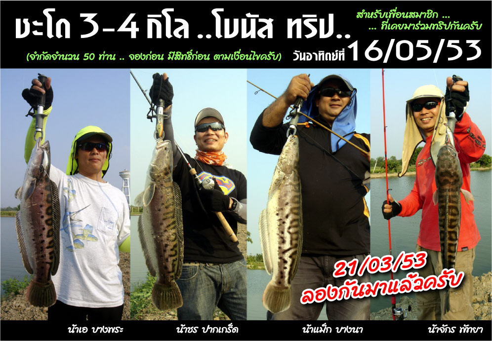 16/05/53 ชะโด 3-4 โล..รุ่งอรุณฟาร์ม บ้านโพธิ์ครับ