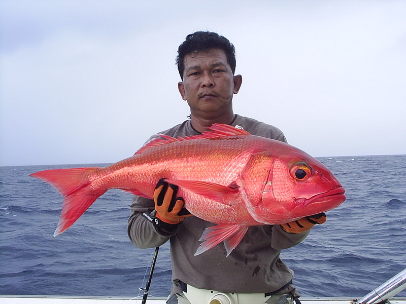 สีทองผ่องอำไพ...เก๋าถ่านดำถึงใจ...ตี๋ใหญ่