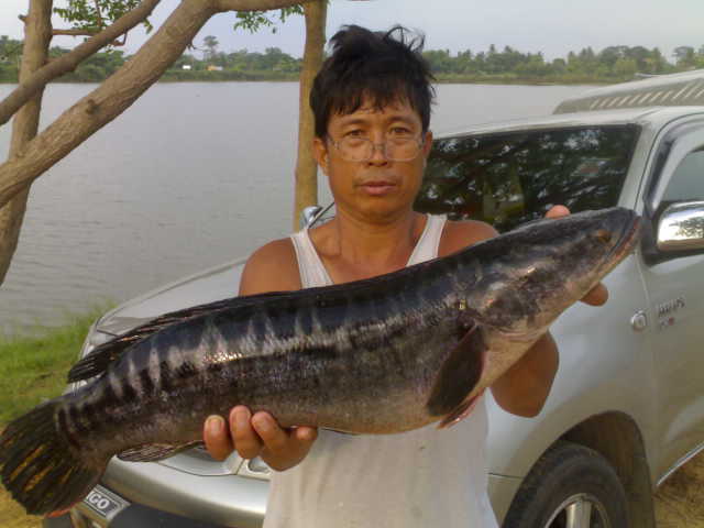 ล้างแค้น  สำเร็จ