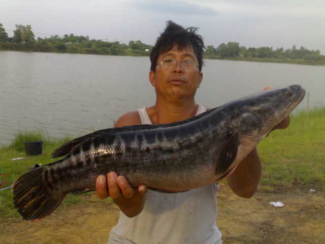 ล้างแค้น  สำเร็จ