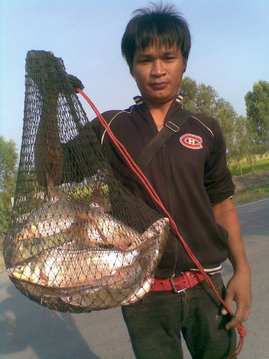 เรือนแพ ฟิชชิ่ง อัพเดท 2 พ.ค. 53