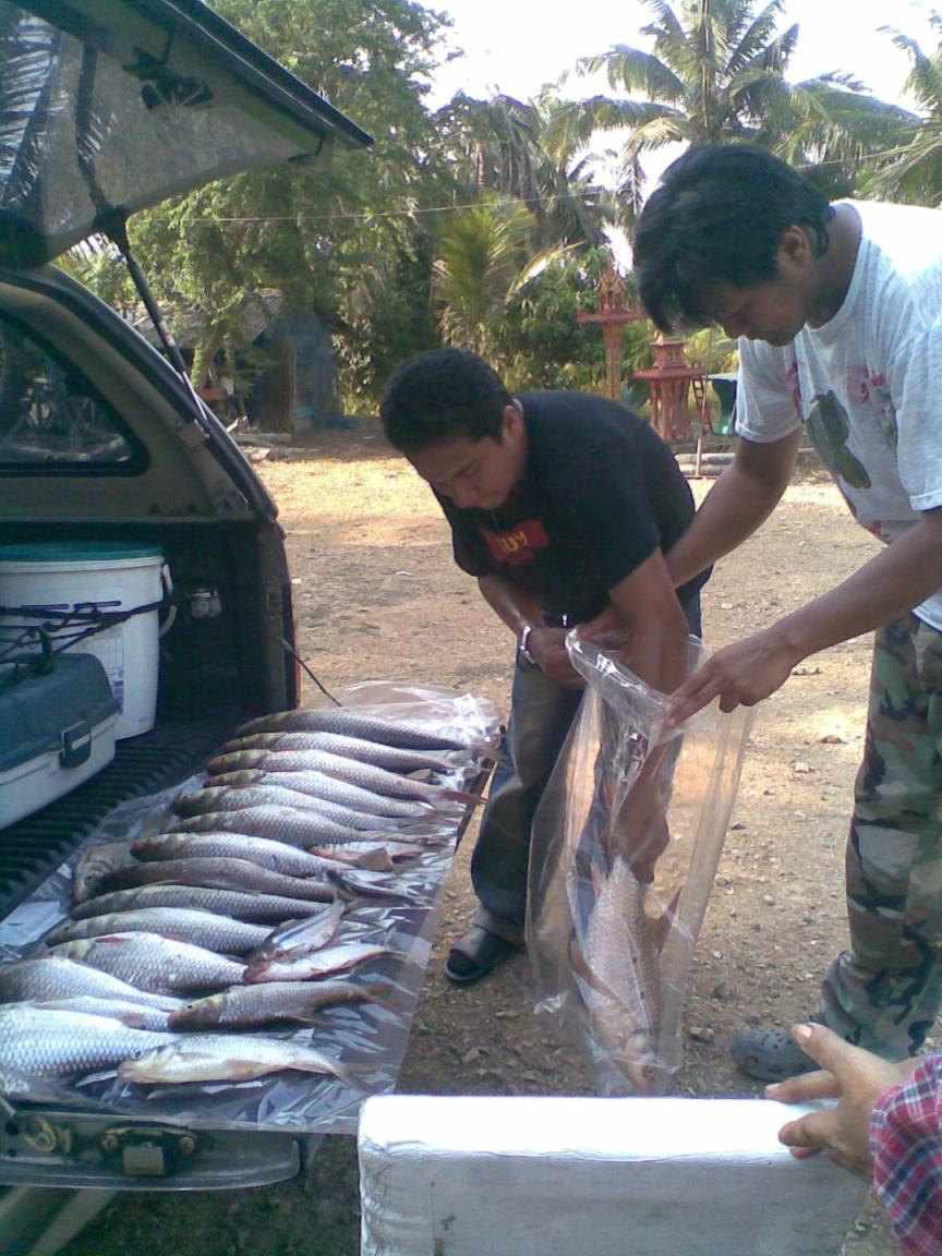 เรือนแพ ฟิชชิ่ง อัพเดท 2 พ.ค. 53