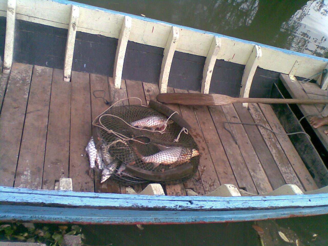 เรือนแพ ฟิชชิ่ง เช้า 3 พ.ค. 53
