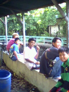 ปลาคลอง หมายหลัง ร.ร. อิอิ
