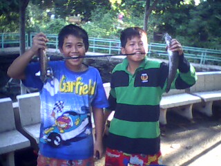 ปลาคลอง หมายหลัง ร.ร. อิอิ
