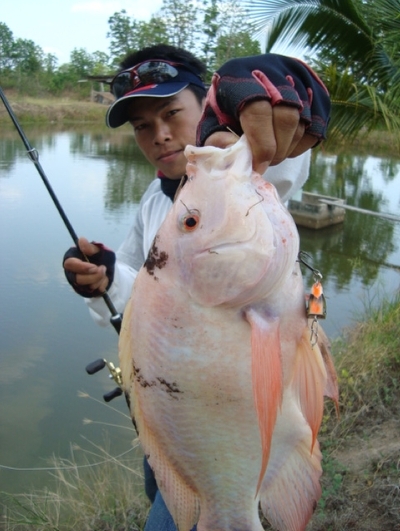 เล็กพริกขี้หนู