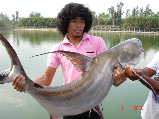 ตัวเดียวก็พอแล้วที่.. "บ่อเจ๊เอ็ง" !!