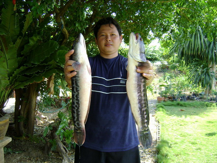 นานนานเจอกันทีอีกแล้ว