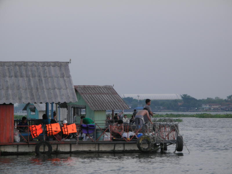 โฉบเดี่ยว ที่บางไทร