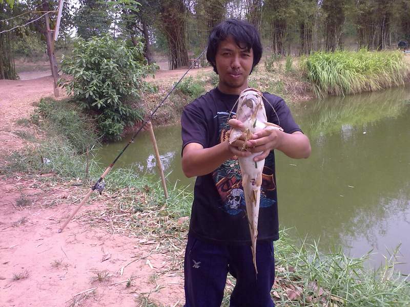 ดุกรัสเซียเพียวๆ