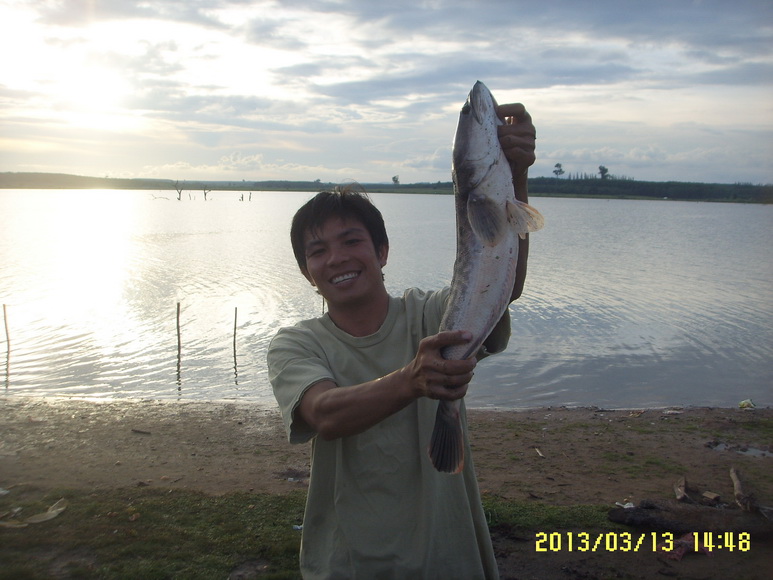 ฉลามน้ำจืดบุกหนองอ้ายรื่น..ระยอง
