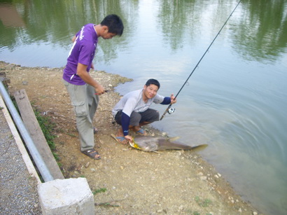 ลองส่งครับผม วันว่างๆ