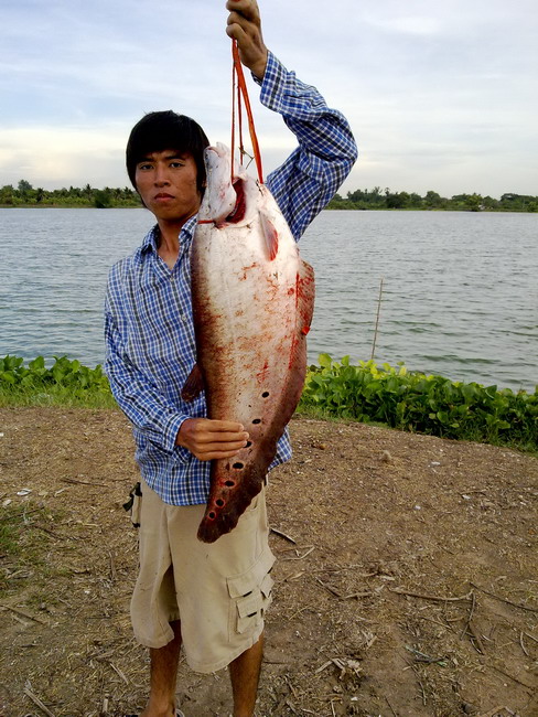 ปลากรายธรรมชาติตัวแรกในชีวิต(ไปซ้ำที่เก่ามา)