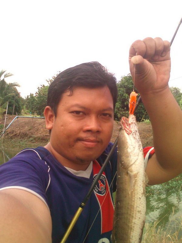 ปลายาง หมานทุกหมาย ของเขาดีเจง