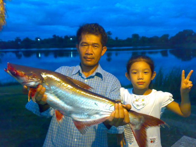 นู๋..จะบอกว่า เครื่องจักร์สังหารเขาลืม ล้อ อะ...