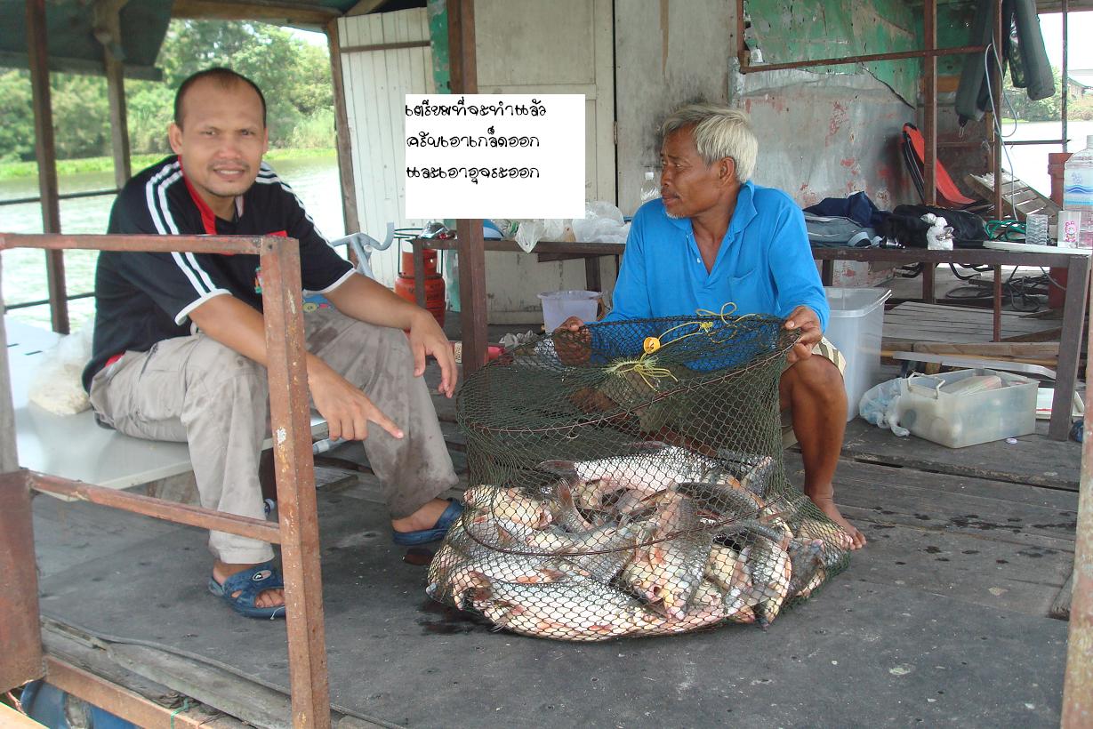 กระชังแตกที่เจ้าพระยาบางไทร